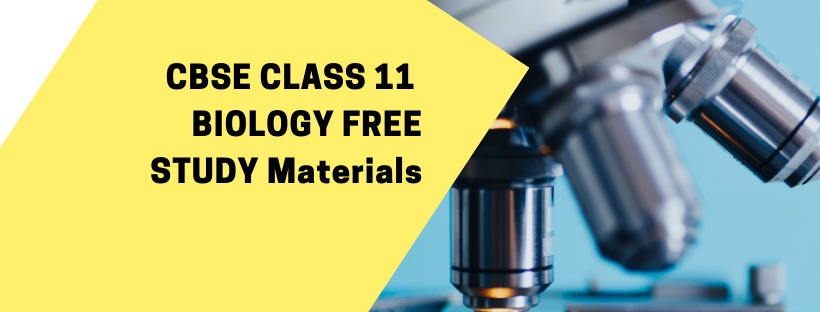 cbse plus one biology free study materials